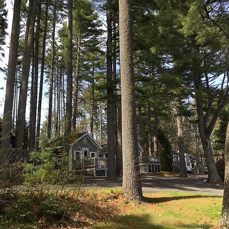 Pine Grove Cottages Lincolnville Eksteriør bilde