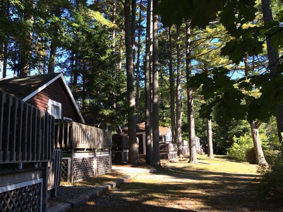 Pine Grove Cottages Lincolnville Eksteriør bilde
